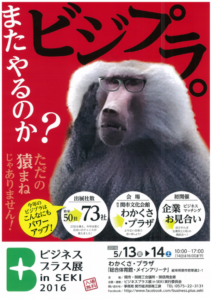 bijipru-537x760